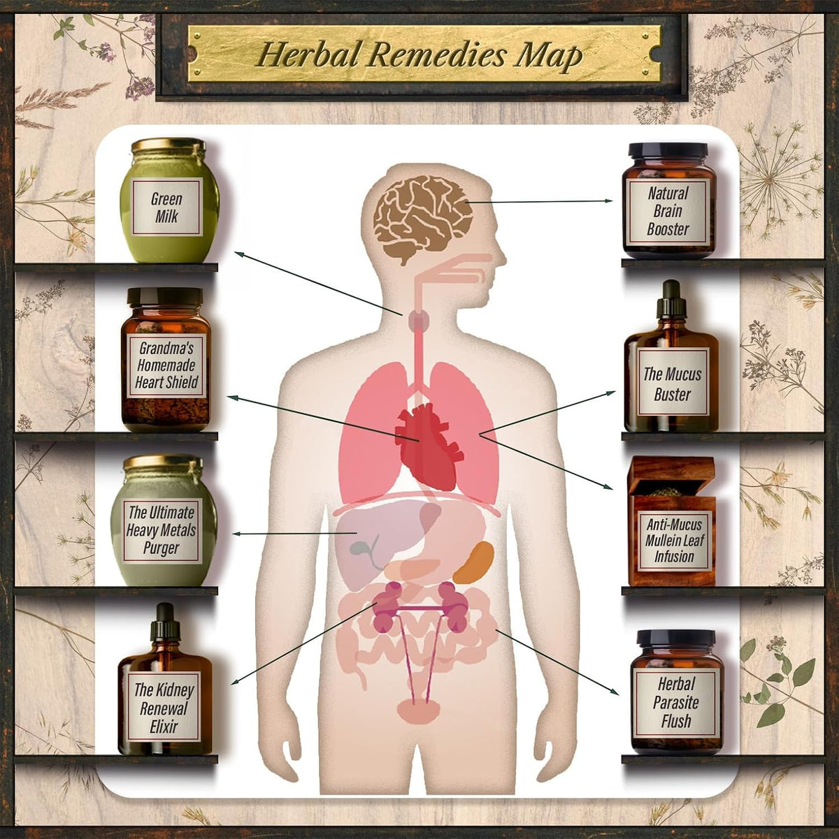 Forgotten Home Apothecary Book