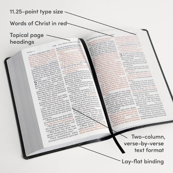 KJV Leather Study Bible