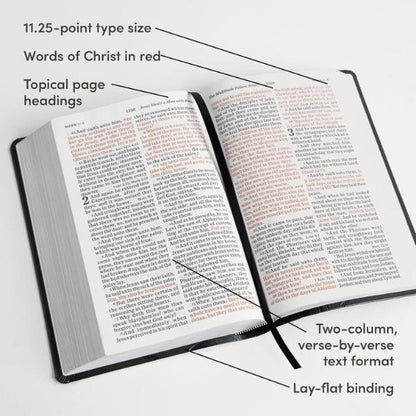 KJV Leather Study Bible