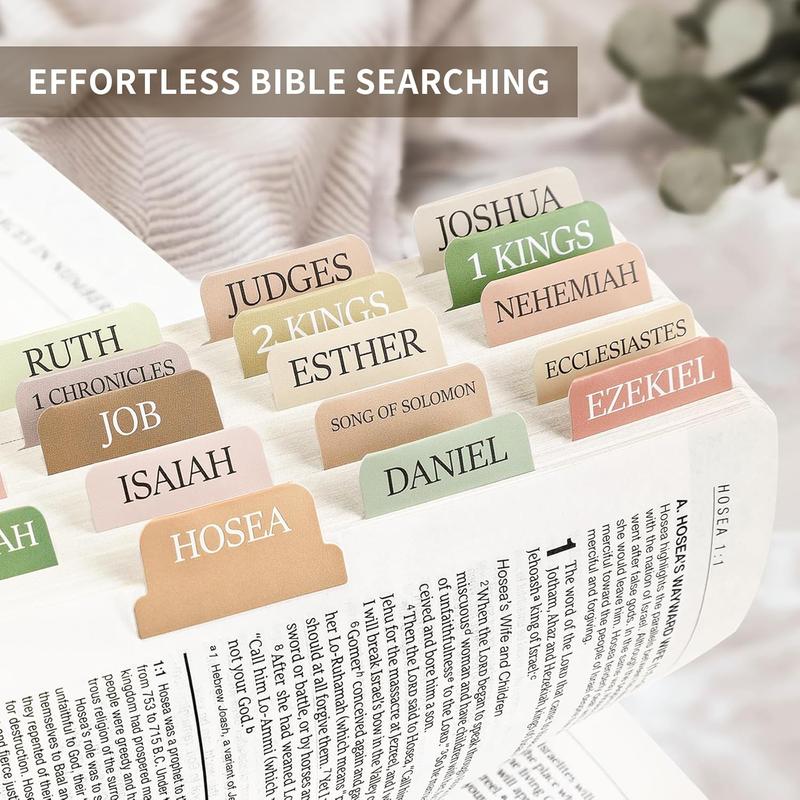 KJV Leather Study Bible